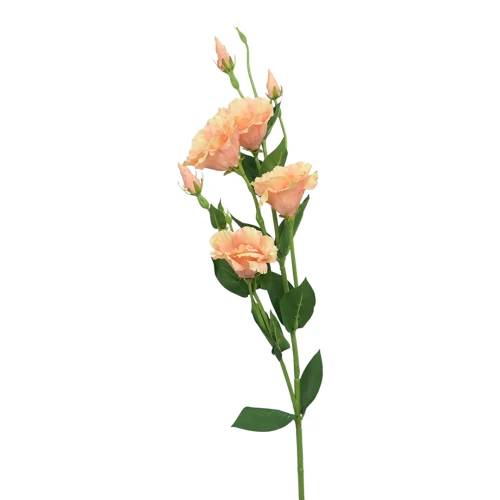 Sztuczna eustoma w kolorze brzoskwiniowym 84 cm