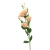 Sztuczna eustoma w kolorze brzoskwiniowym 84 cm