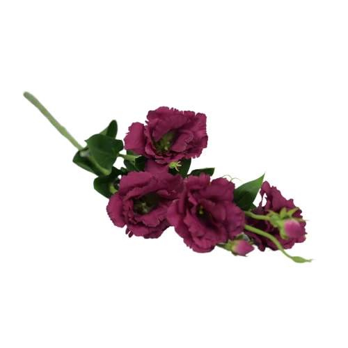 Sztuczna eustoma w kolorze fuksji 84 cm