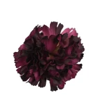 Sztuczny goździk w kolorze ciemnym fioletowym 8 cm