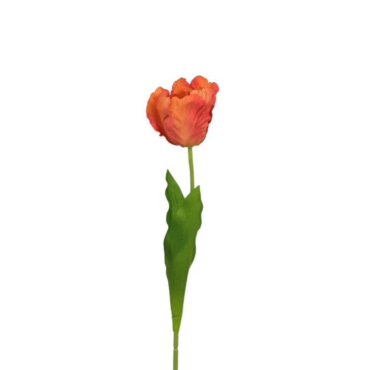 Tulipan pojedynczy 63 cm