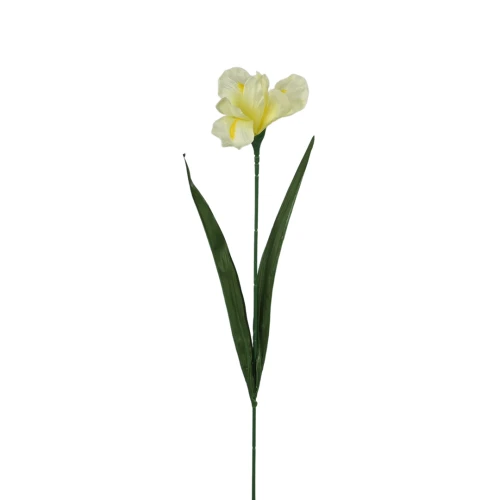 Sztuczny irys w kolorze kremowym 60 cm