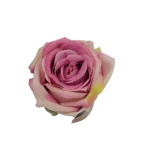 Sztuczna róża w pąku w kolorze różowym 8 cm