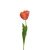 Tulipan pojedynczy 63 cm