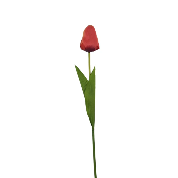 Tulipan 60 cm