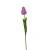 Tulipan 60 cm