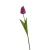 Tulipan 60 cm