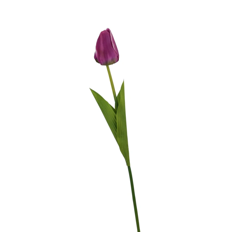 Tulipan 60 cm