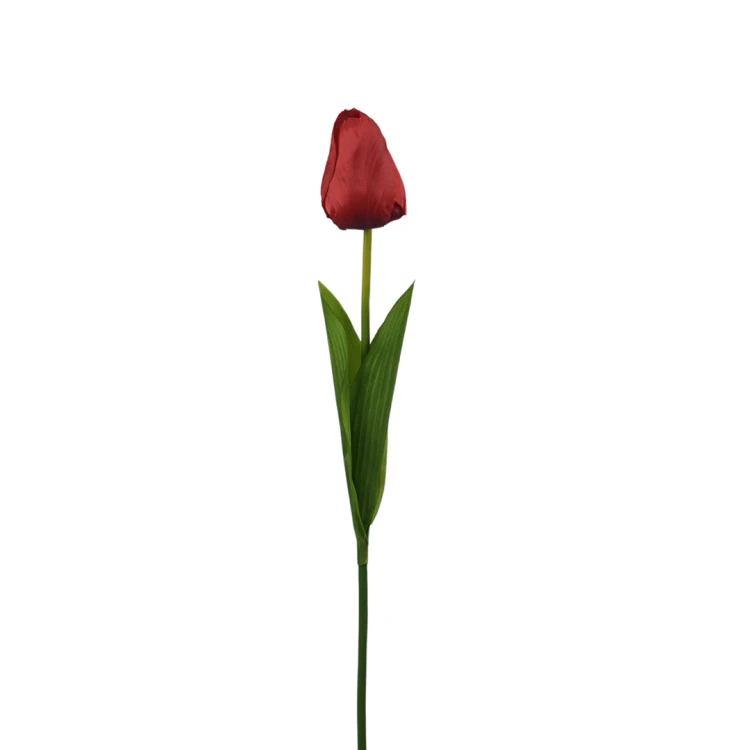 Tulipan 60 cm