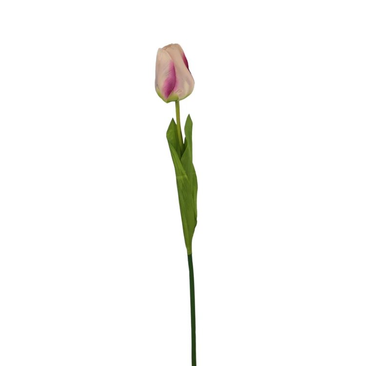 Tulipan 60 cm