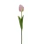 Tulipan 60 cm