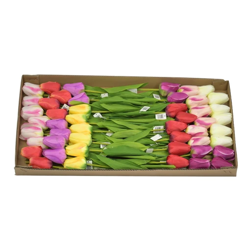 Karton tulipana mix kolorów 60 cm