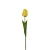 Tulipan 60 cm