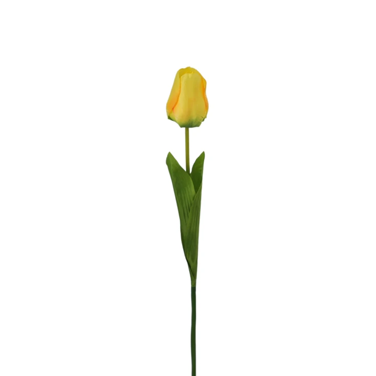 Tulipan 60 cm