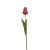 Tulipan 60 cm
