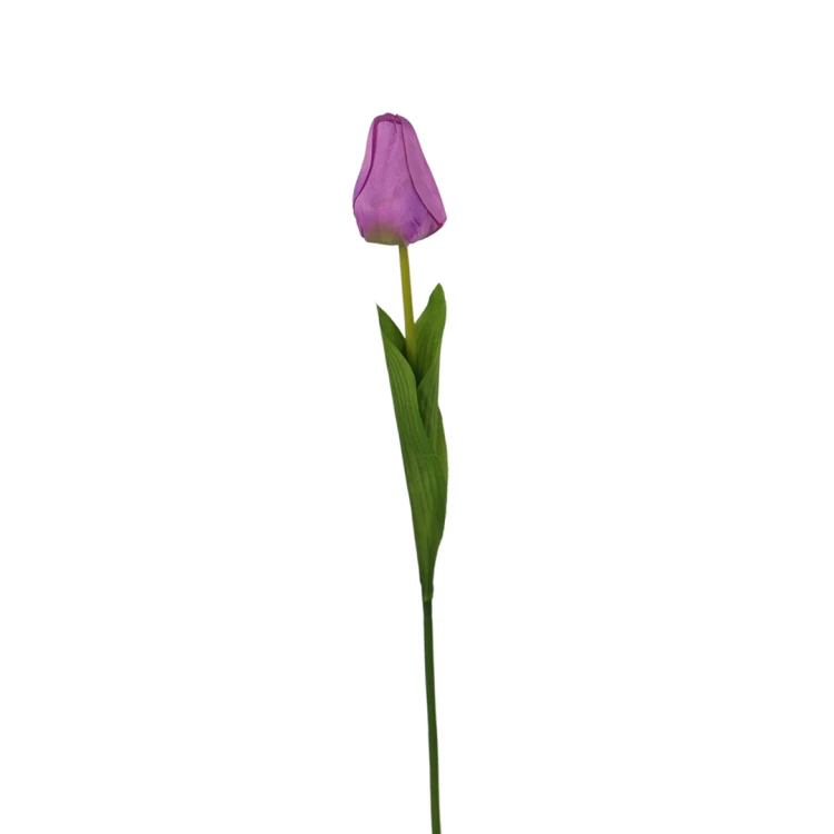 Tulipan 60 cm
