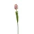 Tulipan 60 cm