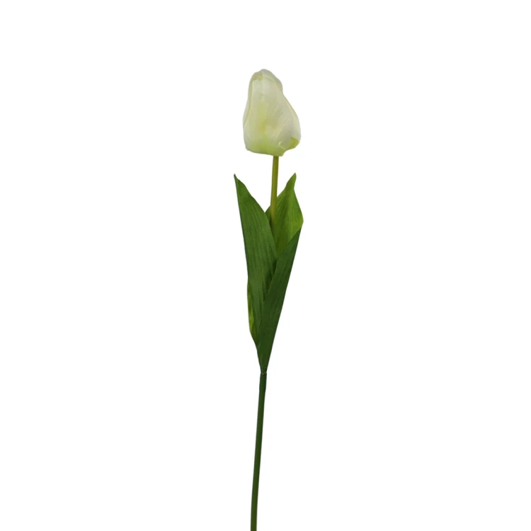 Tulipan 60 cm
