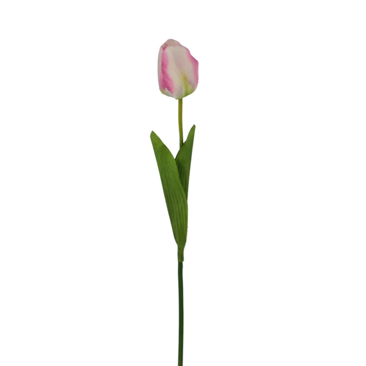Tulipan 60 cm
