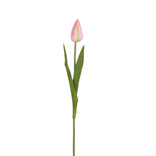 Tulipan ołówek 55 cm