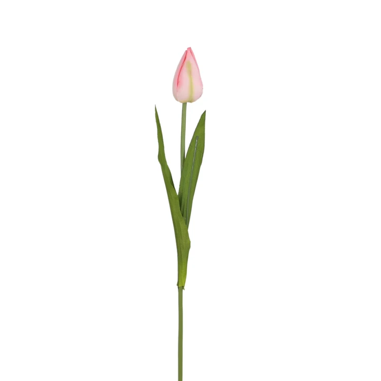 Tulipan ołówek 55 cm