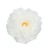 Sztuczna piwonia rozwinięta w kolorze białym 15 cm