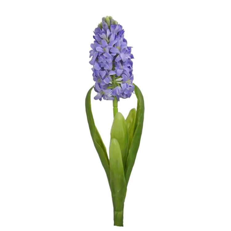 Hiacynt z gumowym liściem mix 1 w kolorze jasno niebieskim 40 cm