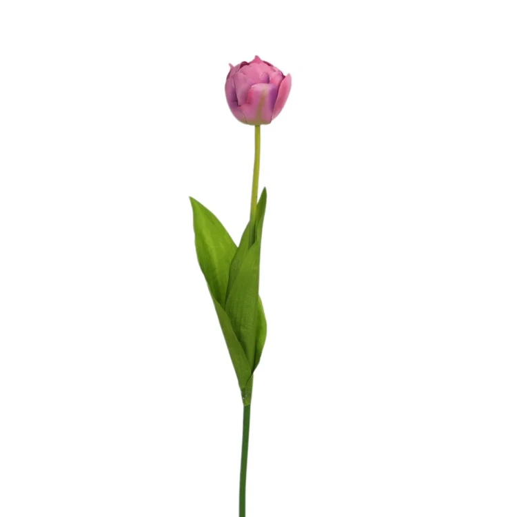 Tulipan papuzi 60 cm
