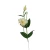 Sztuczna eustoma na piku w kolorze brzoskwiniowym 50 cm