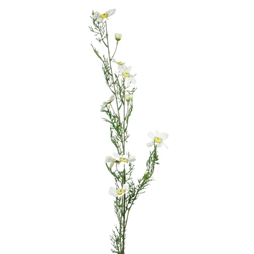 Sztuczna warszawianka w kolorze białym 125 cm