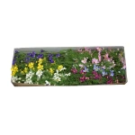 Karton warszawianki gałązkowej mix kolorów 125 cm