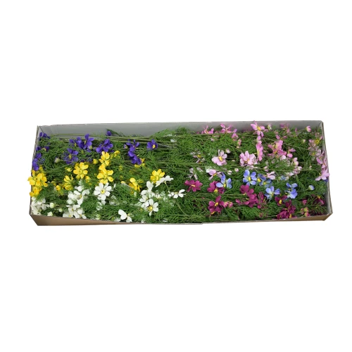 Karton warszawianki gałązkowej mix kolorów 125 cm