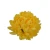 Mini chryzantema 8 cm