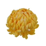 Sztuczna chryzantema czesana w kolorze żółtym 14 cm