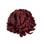 Sztuczna chryzantema czesana w kolorze bordowym 14 cm