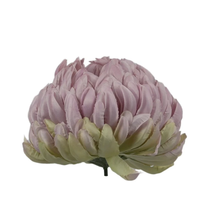 Sztuczna chryzantema czesana w kolorze brudnym różu 14 cm