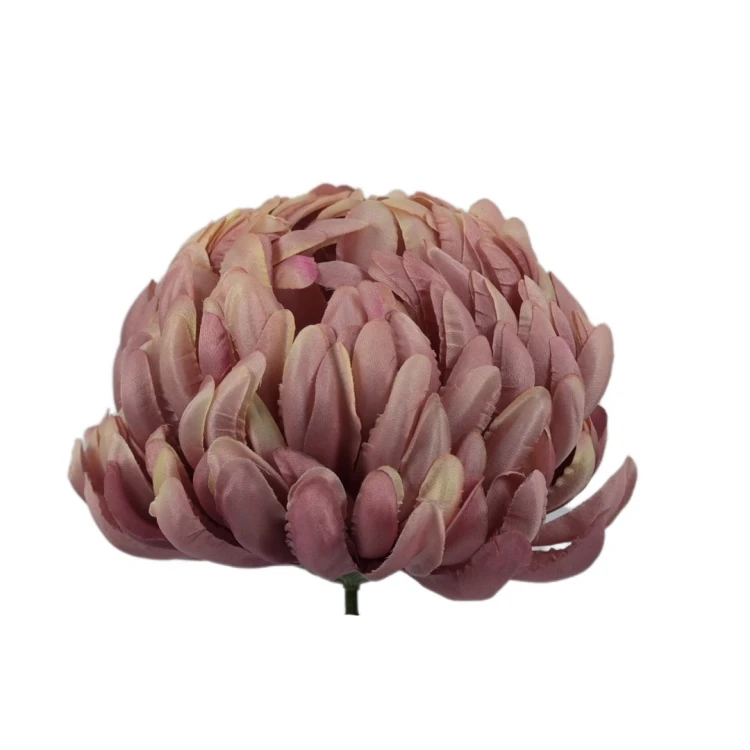 Sztuczna chryzantema czesana w kolorze fiołkowo/różowym 14 cm