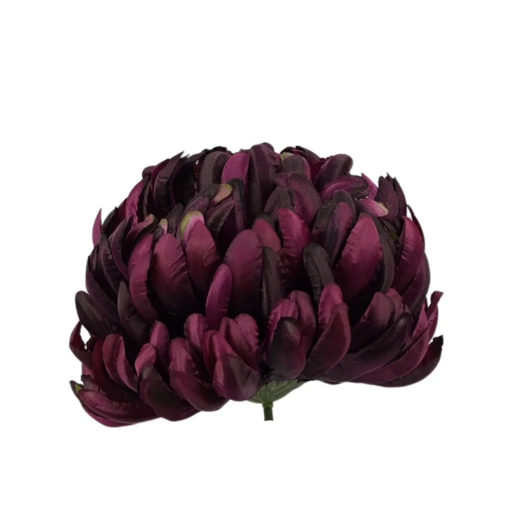 Sztuczna chryzantema czesana w kolorze ciemniej fuksji 14 cm